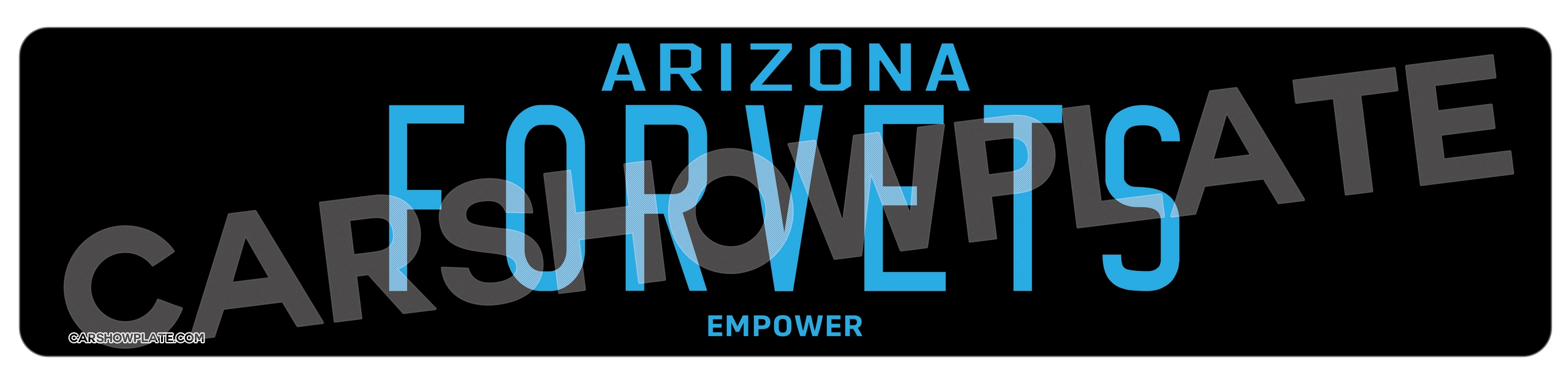 Arizona Euro License Plate - Image 4