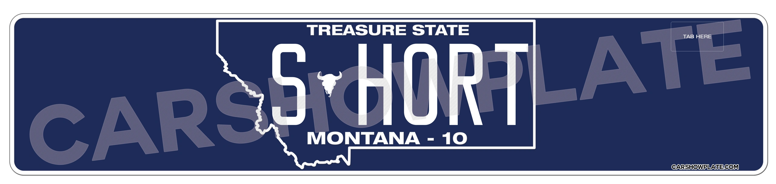 Montana Euro License Plate - Image 3