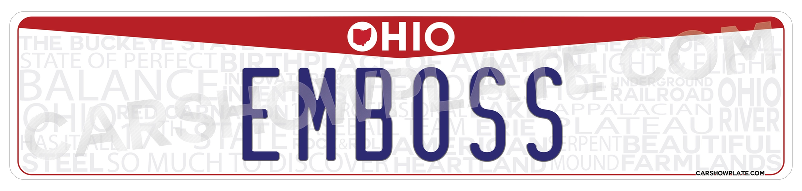 Ohio Euro License Plate - Image 7