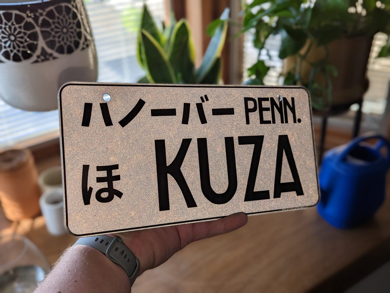 US/Japan Show Plate - US Size - Image 8