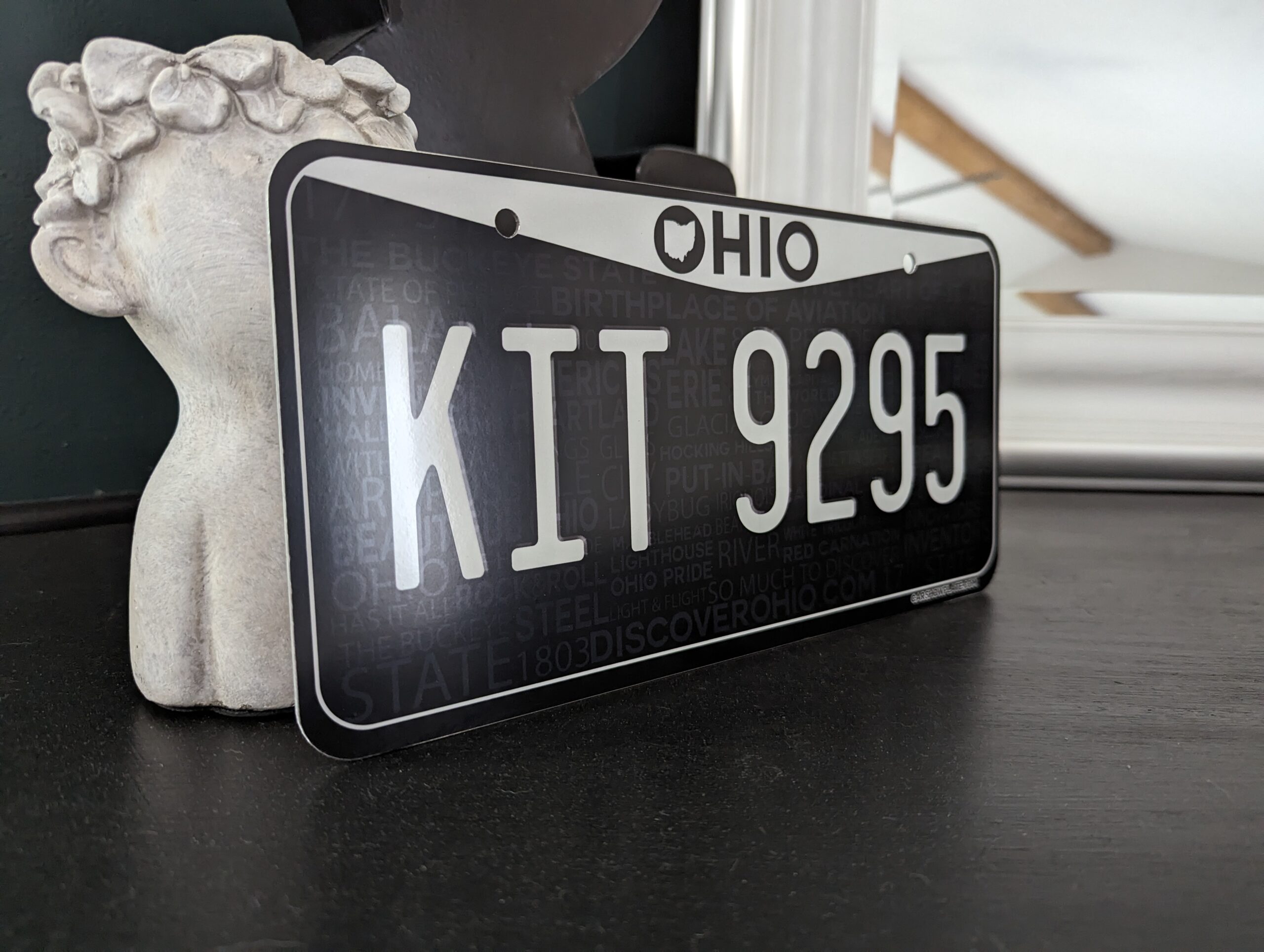 Ohio Black & White US Plate - Image 3