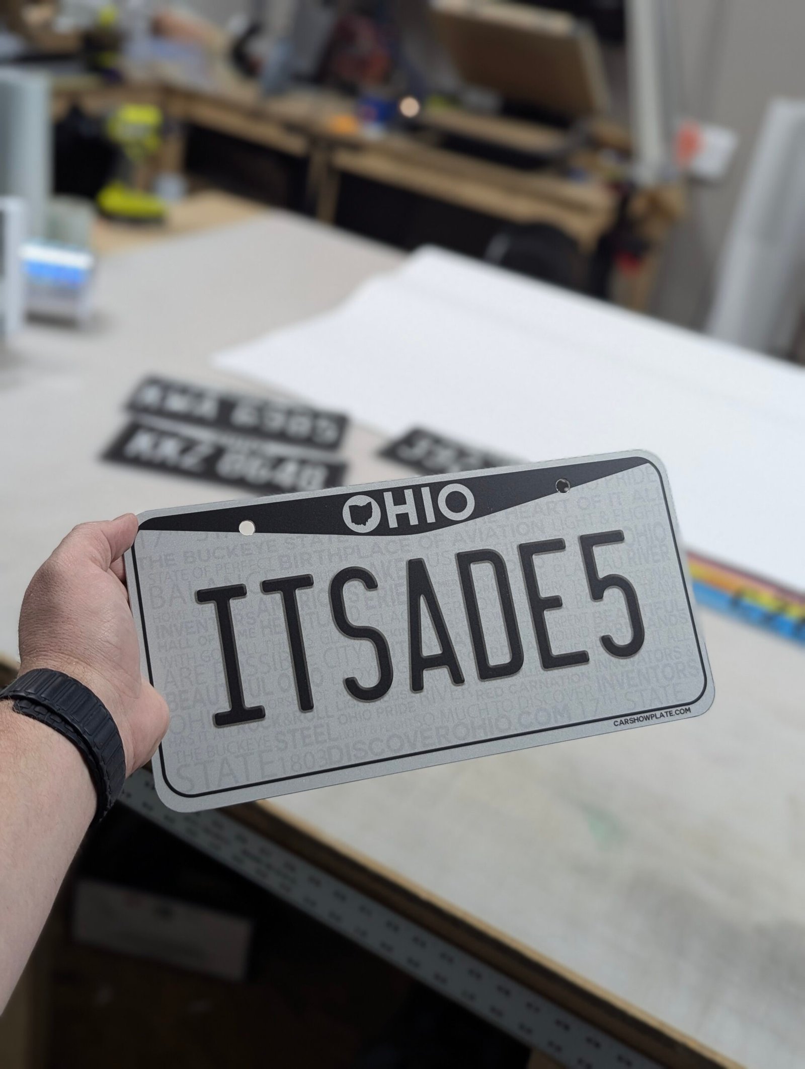 Ohio Black & White US Plate - Image 7