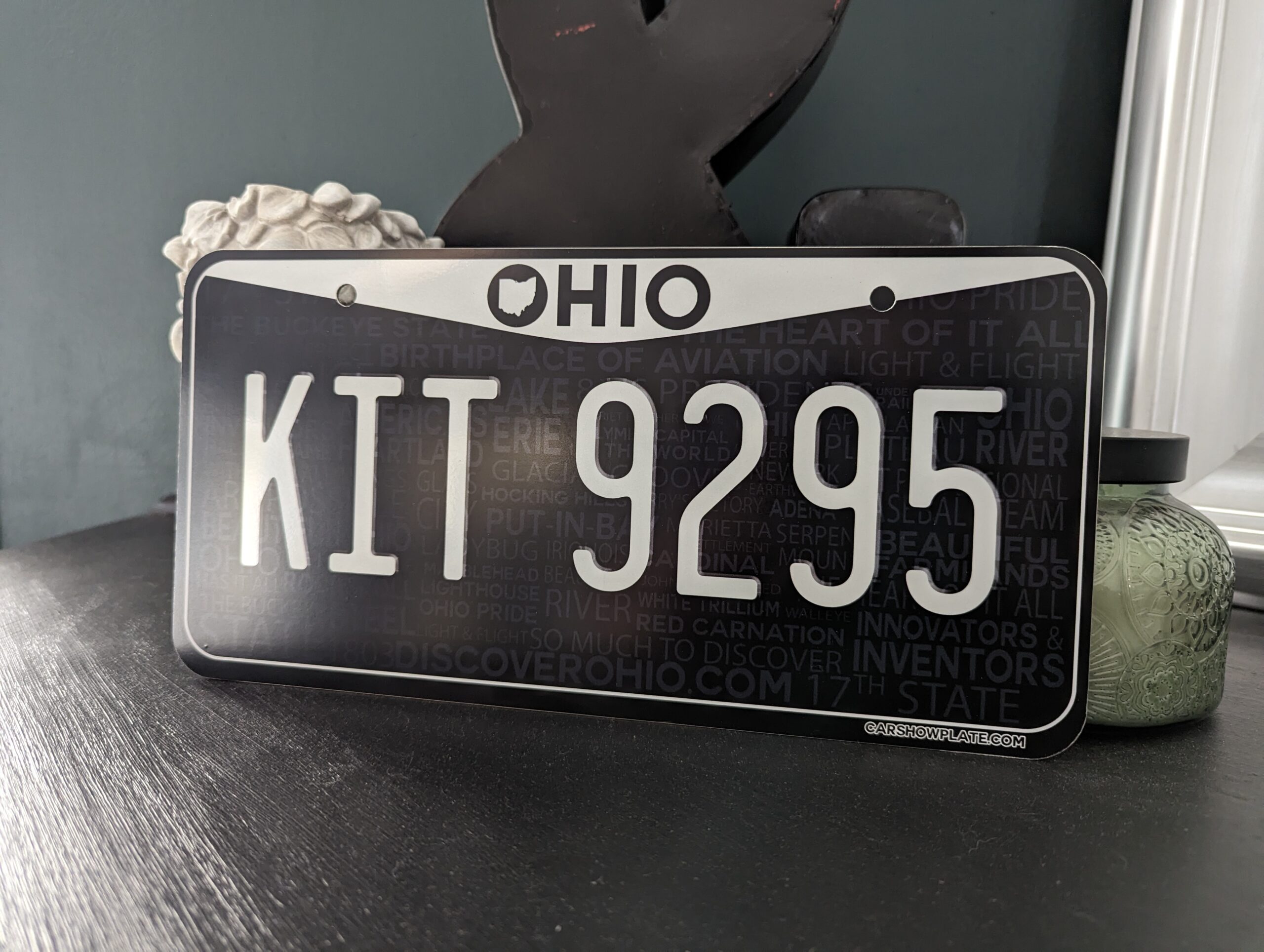 Ohio Black & White US Plate - Image 10