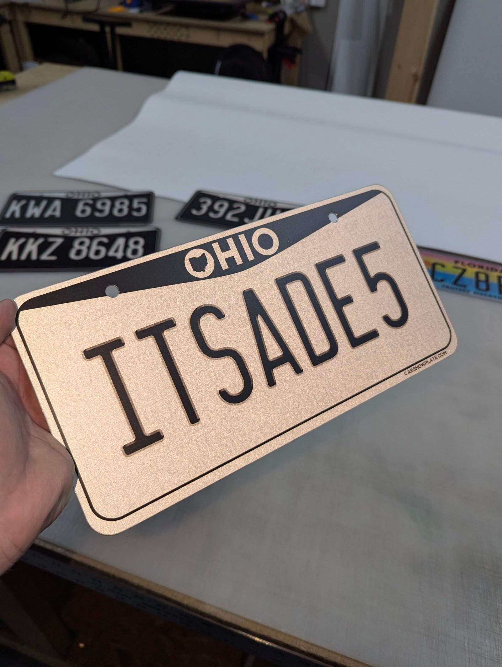 Ohio Black & White US Plate - Image 8